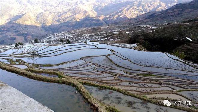 茶与饮水：各自的魅力AG真人游戏平台饮